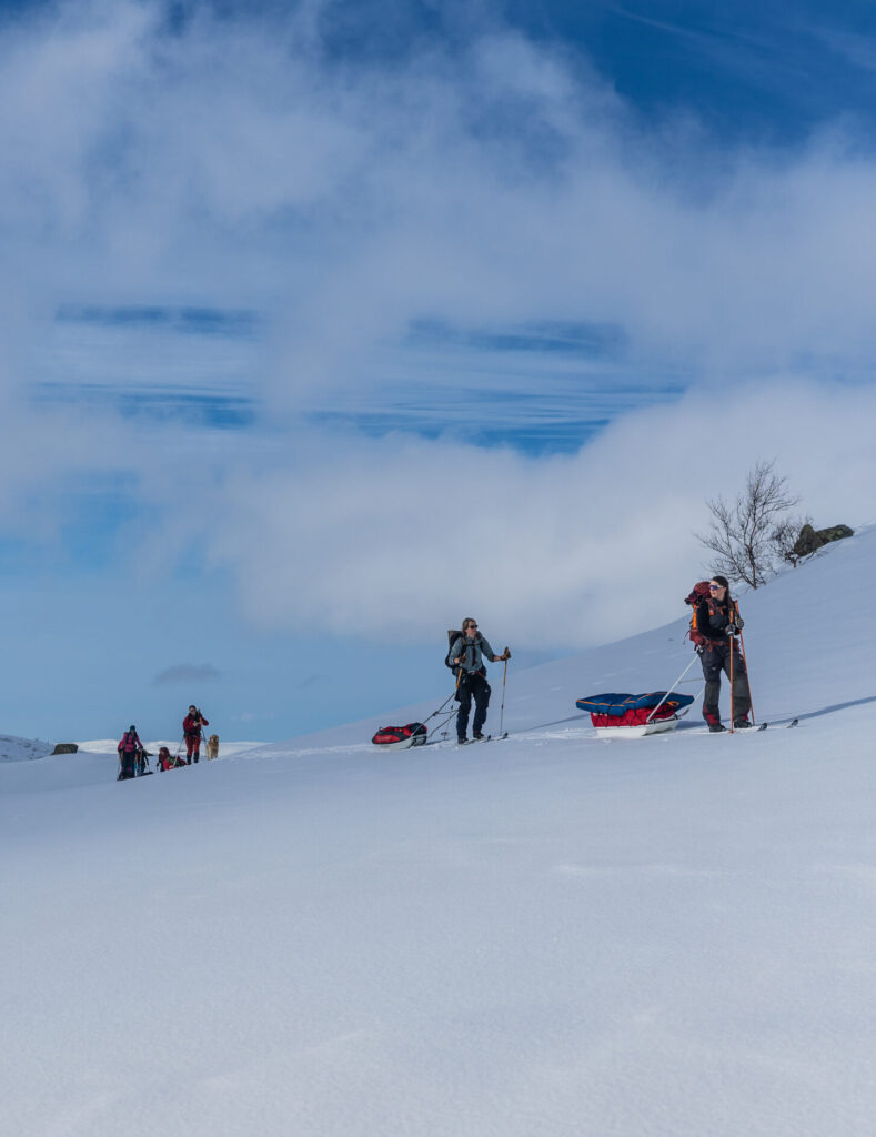 Vinter, fjäll, fjälltur, turskidor, guidning
